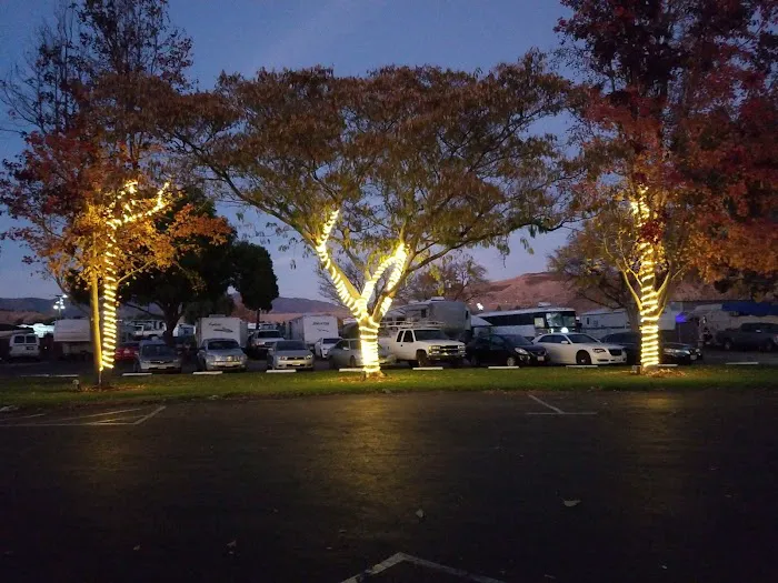 Castaic Lake RV Park Picture 8