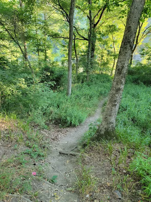 Dogwood Campground Picture 3