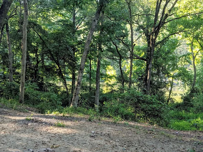 Dogwood Campground Picture 8