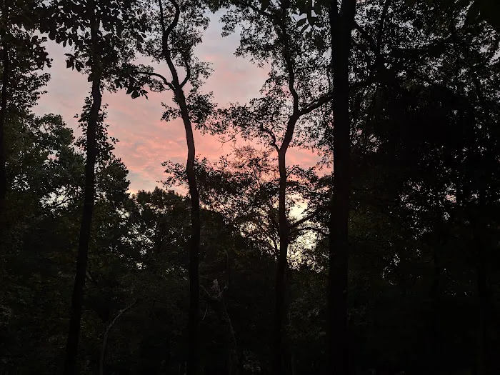 Dogwood Campground Picture 9