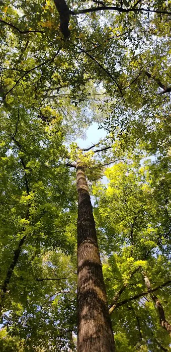 Cypress Campground Picture 9