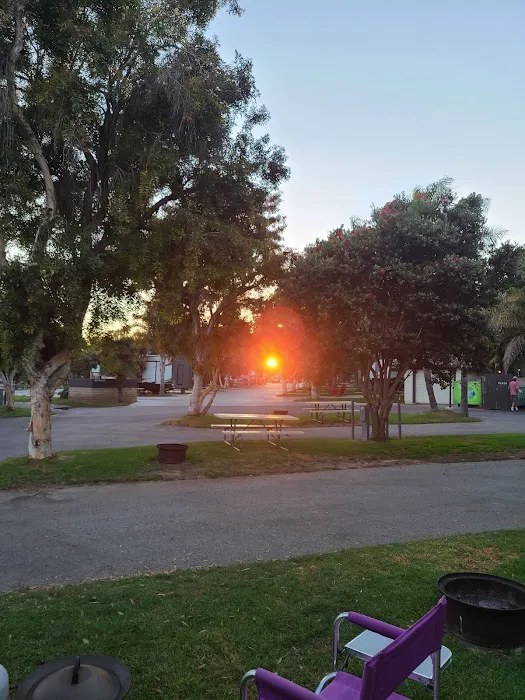 Ventura Beach RV Resort Picture 6