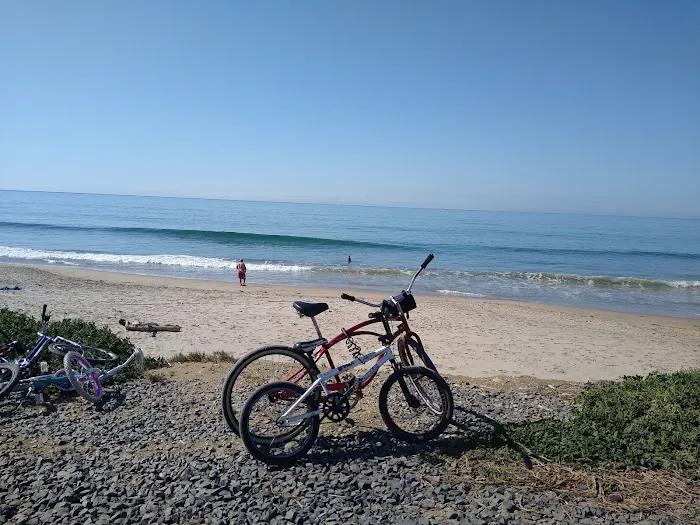Ventura Beach RV Resort Picture 10