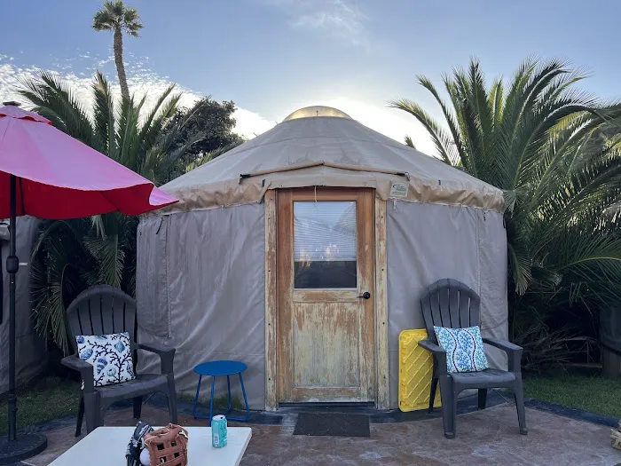 Ventura Beach RV Resort Picture 8