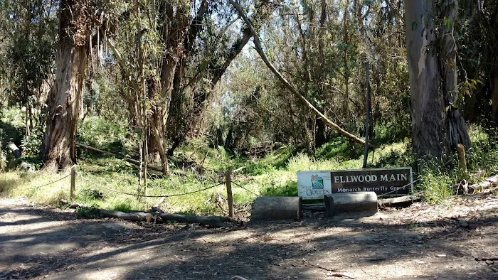 Las Encinas Mobilehome Park Picture 6