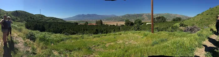 Las Encinas Mobilehome Park Picture 9