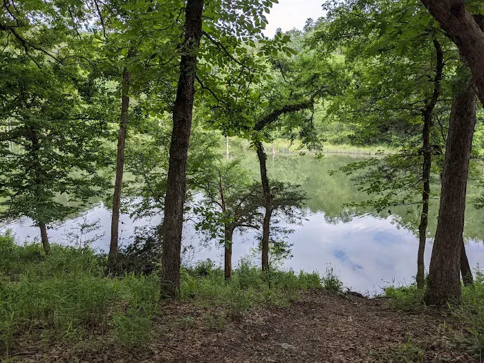 Fern Campground Picture 1
