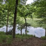 Fern Campground