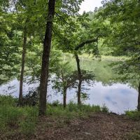 Fern Campground ico