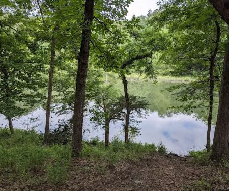 Fern Campground