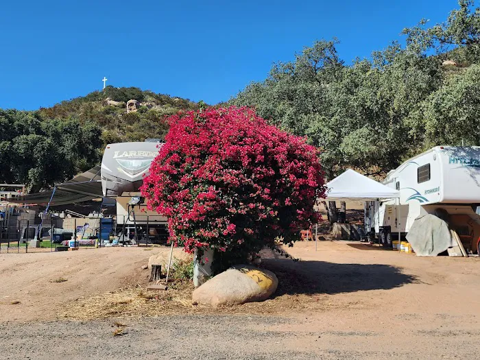 Diamond Jack's RV Ranch Picture 3