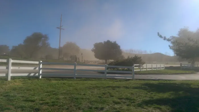 Heavenly Oaks Residential Picture 5