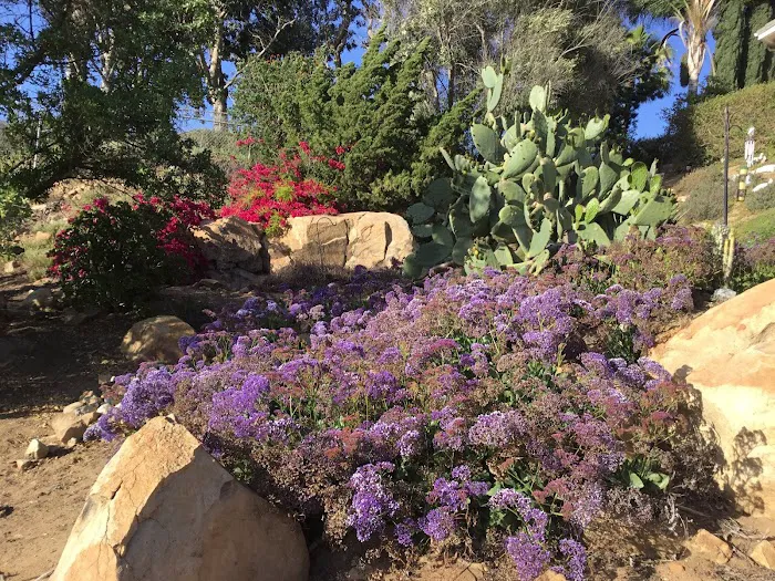Valley View Mobilehome Park Picture 6