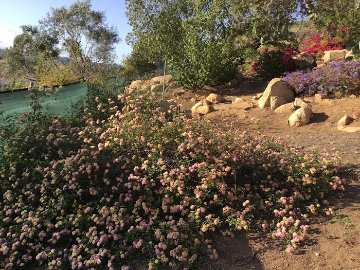 Valley View Mobilehome Park Picture 10