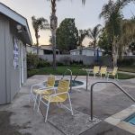 Murrieta Palms