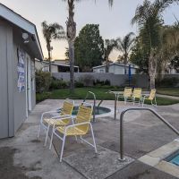 Murrieta Palms ico