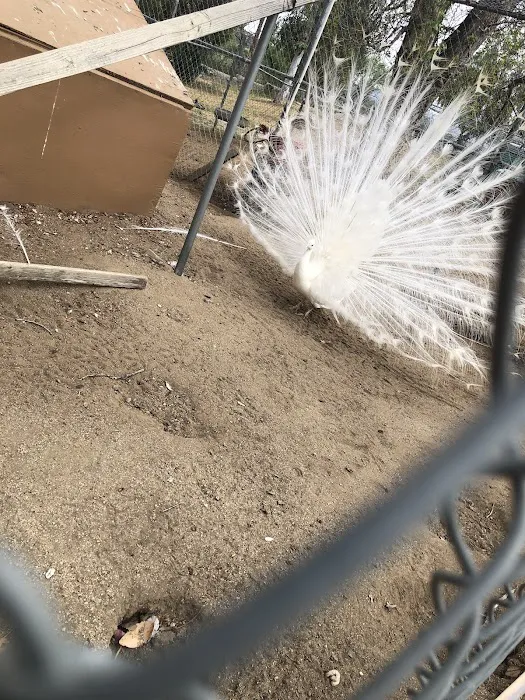 Tucalota Springs RV Park Picture 9