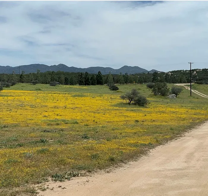 Bradford Run (Formerly Cowboy Country Campground) Picture 1