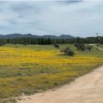 Bradford Run (Formerly Cowboy Country Campground)