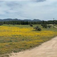 Bradford Run (Formerly Cowboy Country Campground) ico