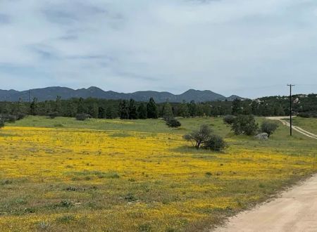 Bradford Run (Formerly Cowboy Country Campground)