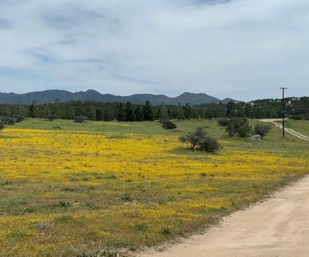 Bradford Run (Formerly Cowboy Country Campground)