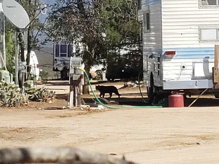 Bradford Run (Formerly Cowboy Country Campground) Picture 2