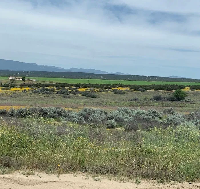 Bradford Run (Formerly Cowboy Country Campground) Picture 5