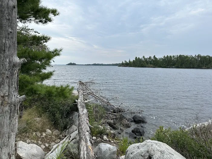 Loon Cove Campsite Picture 1