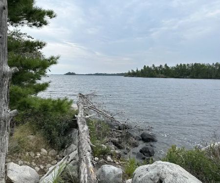 Loon Cove Campsite