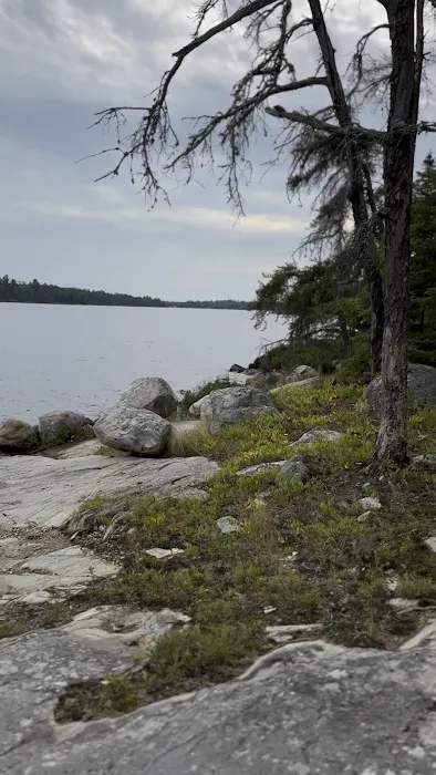 Loon Cove Campsite Picture 9