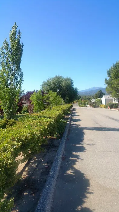 Anza Pines Mobile Home Park Picture 5
