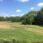 Kenedy Texas Country RV Park & Resort Ranch