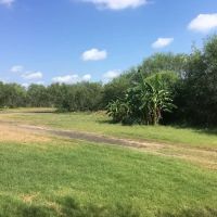 Kenedy Texas Country RV Park & Resort Ranch ico