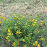 Jerico Ranch Rv Park