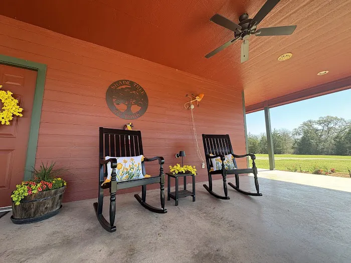Shade Tree RV Park Picture 6
