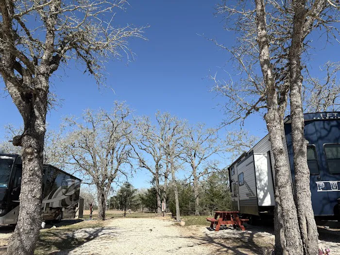 Shade Tree RV Park Picture 7
