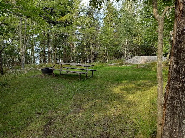 Wooden Frog Campground and Day Use Area Picture 6
