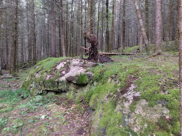 Wooden Frog Campground and Day Use Area Picture 10