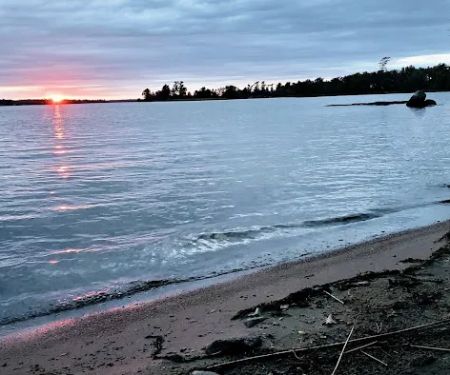 Grassy Islands South - K9 Campsite