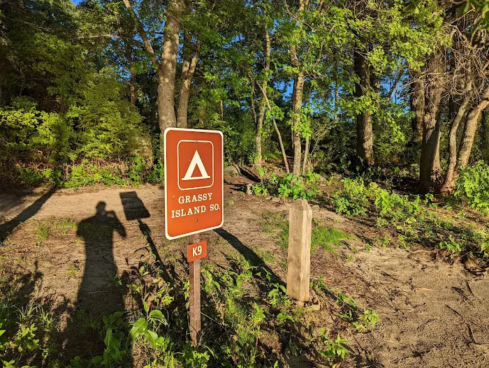 Grassy Islands South - K9 Campsite Picture 4