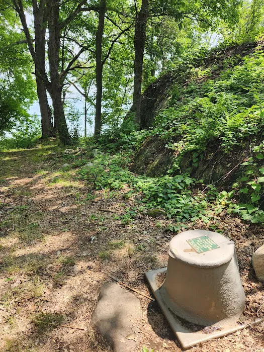 Grassy Islands South - K9 Campsite Picture 3