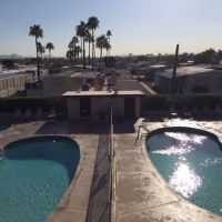 Orange Grove Estates ico