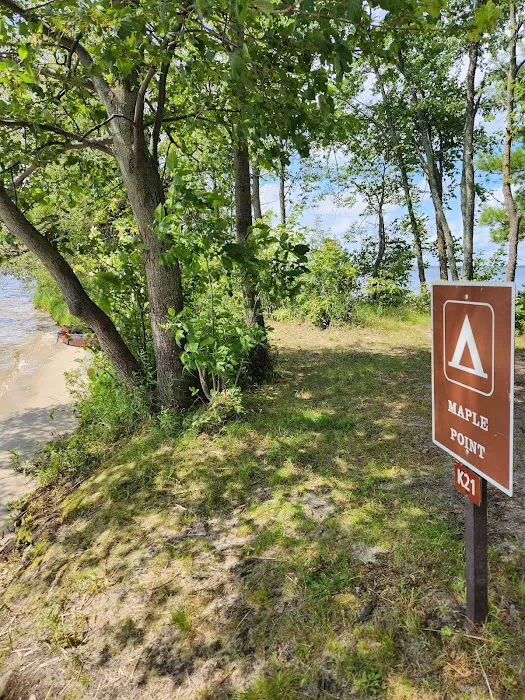 Maple Point Island, Campsite K21 Picture 5