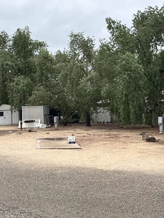 Magnolia RV Park Picture 7