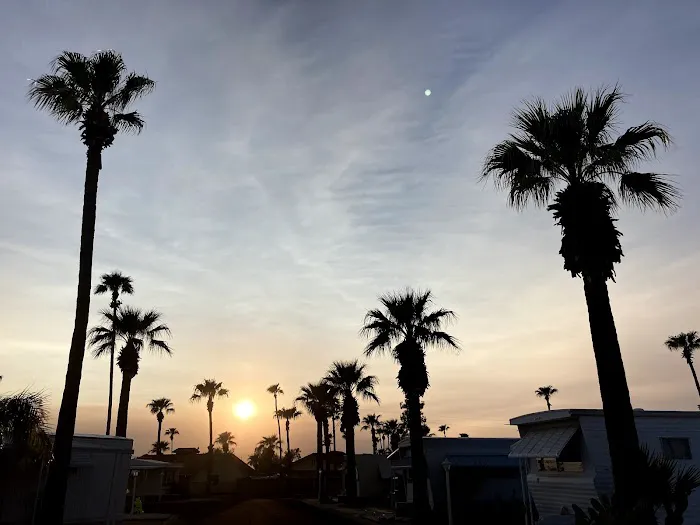 Valley Palms Mobile Home Park Picture 3