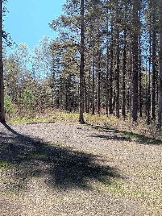 Judge C.R. Magney Campground Picture 3