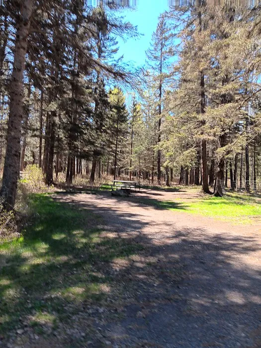 Judge C.R. Magney Campground Picture 2