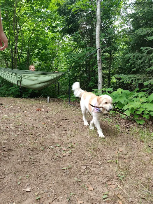Flour Lake Campground Picture 6