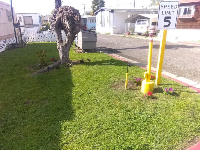 Isleton Trailer Park Picture 3